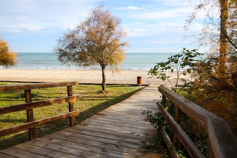 VILLA PEPITA II  1st Linea Playa