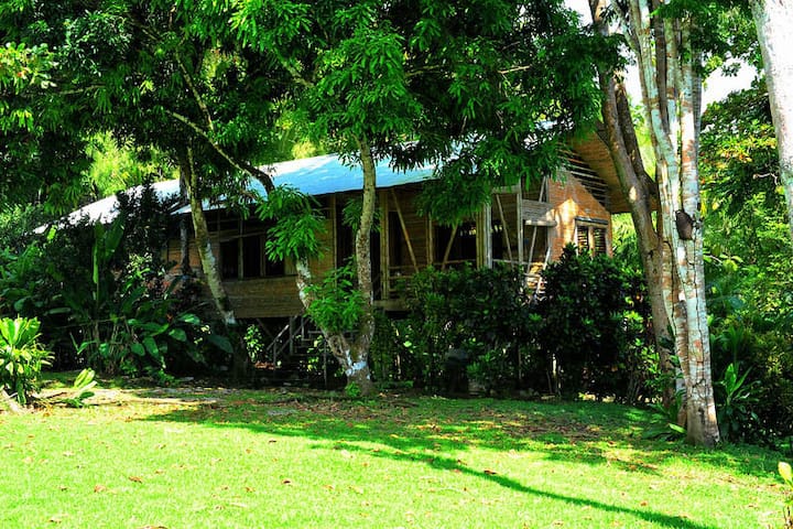 Entire home with 4 bedrooms in Puntarenas Province - Casa Linda - Rain Forest Beach House
