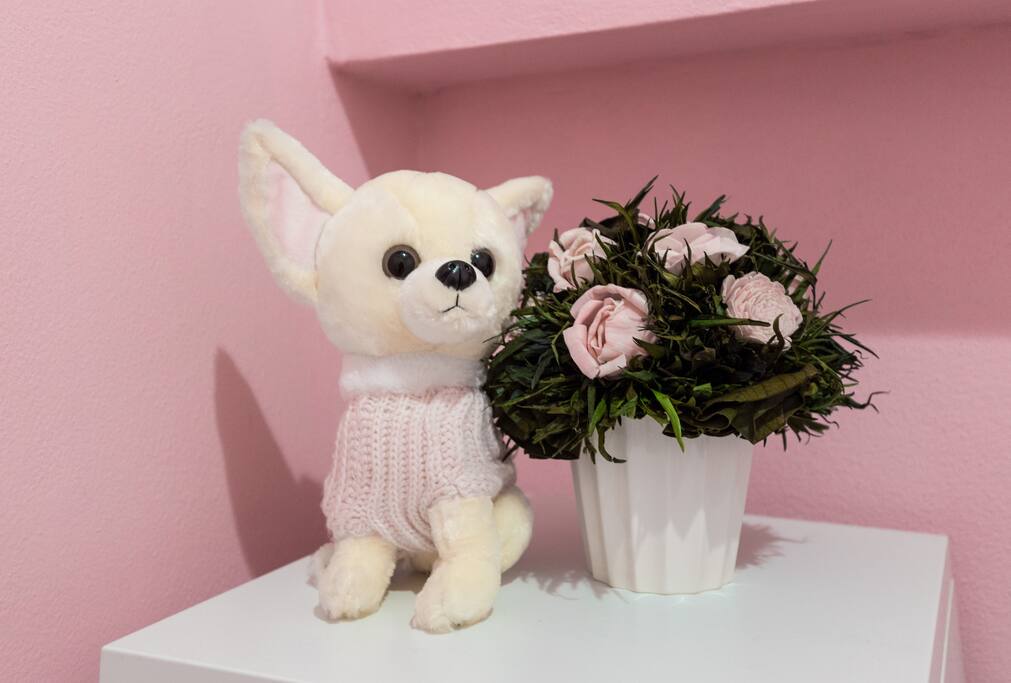 Puppy Cute