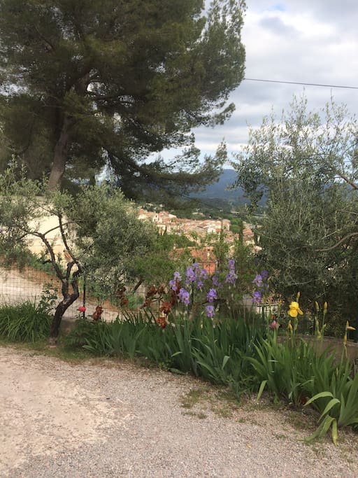 Vue sur la plaine des Maures