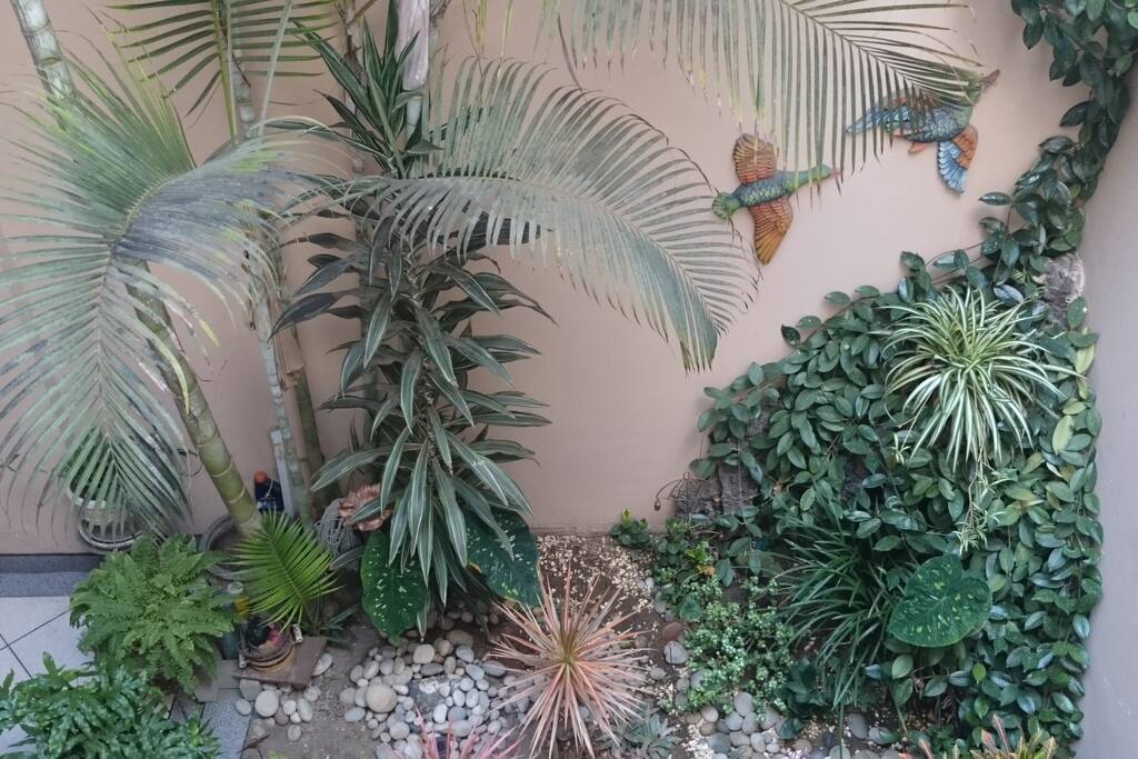 Jardín interno área comedor