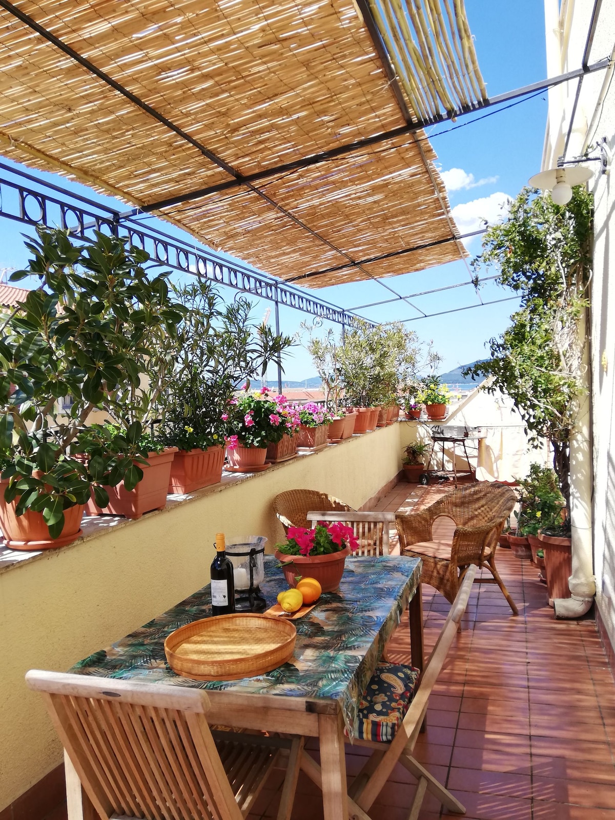 A spacious terrace is lined with potted plants and flowers, offering a bright and inviting outdoor space. A wooden table is set with plates and wine, surrounded by woven chairs. A thatched awning provides shade, enhancing the area for relaxation and outdoor dining.
