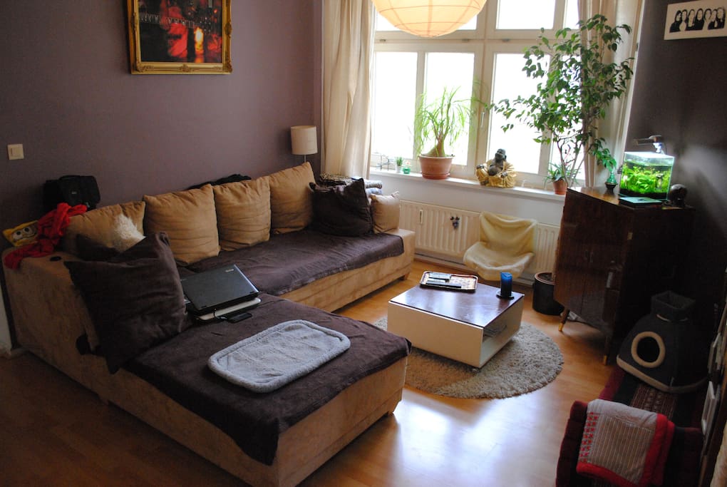 Living Room / Sleeping Couch