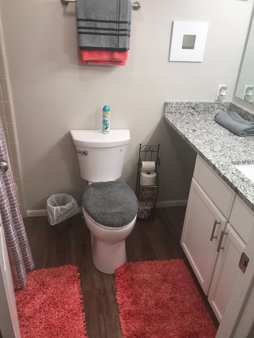 Guest bathroom