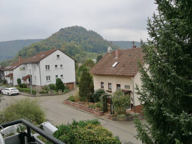 Kinga house