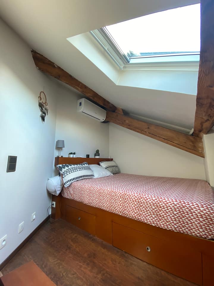 Chumba cha kulala chenye kiyoyozi kilicho na Velux 
