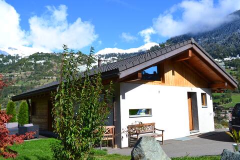 Modern Ski-In Ski-Out Home