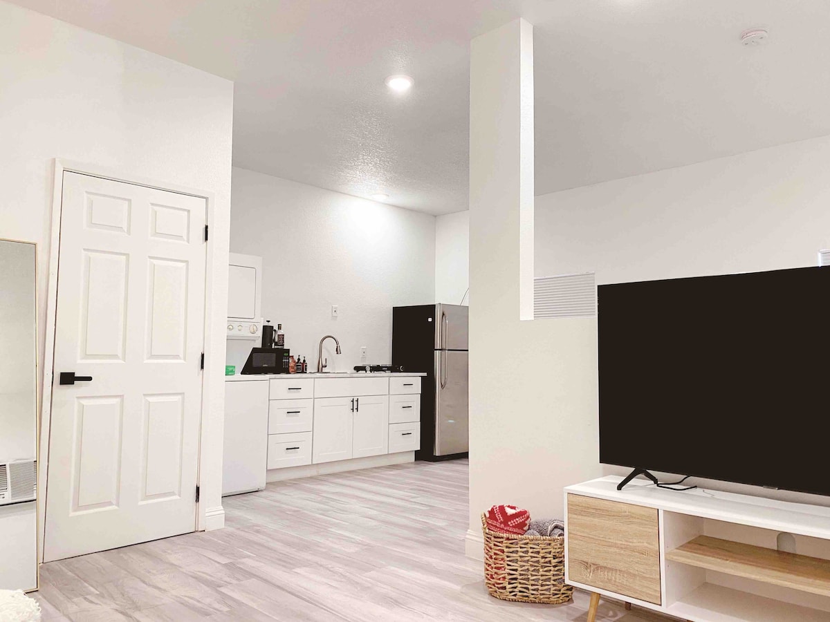 The studio interior features light-colored walls and an open layout. A kitchen area, equipped with modern appliances, is visible in the background. A flat-screen TV is placed on a light wood media console, while a cozy seating area is suggested by a soft rug in the foreground.