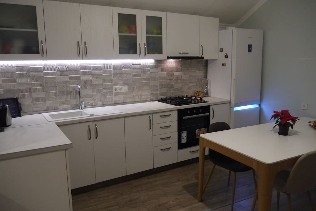 Newly renovated apartment with high-quality furniture