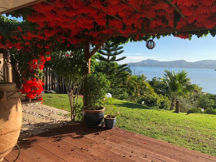 View from the deck