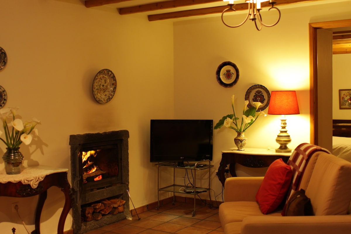 A cozy living area is illuminated by a table lamp and a fireplace, featuring antique furniture and decorative plates on the walls. A television rests on a metal stand, while a sofa adorned with cushions offers seating.