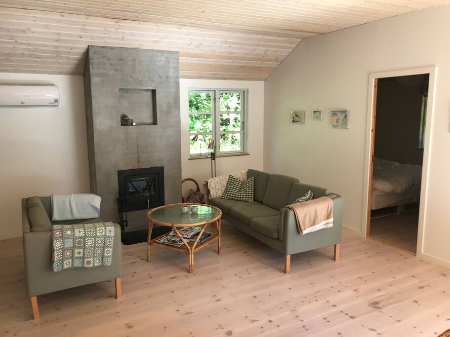 Livingroom and fireplace