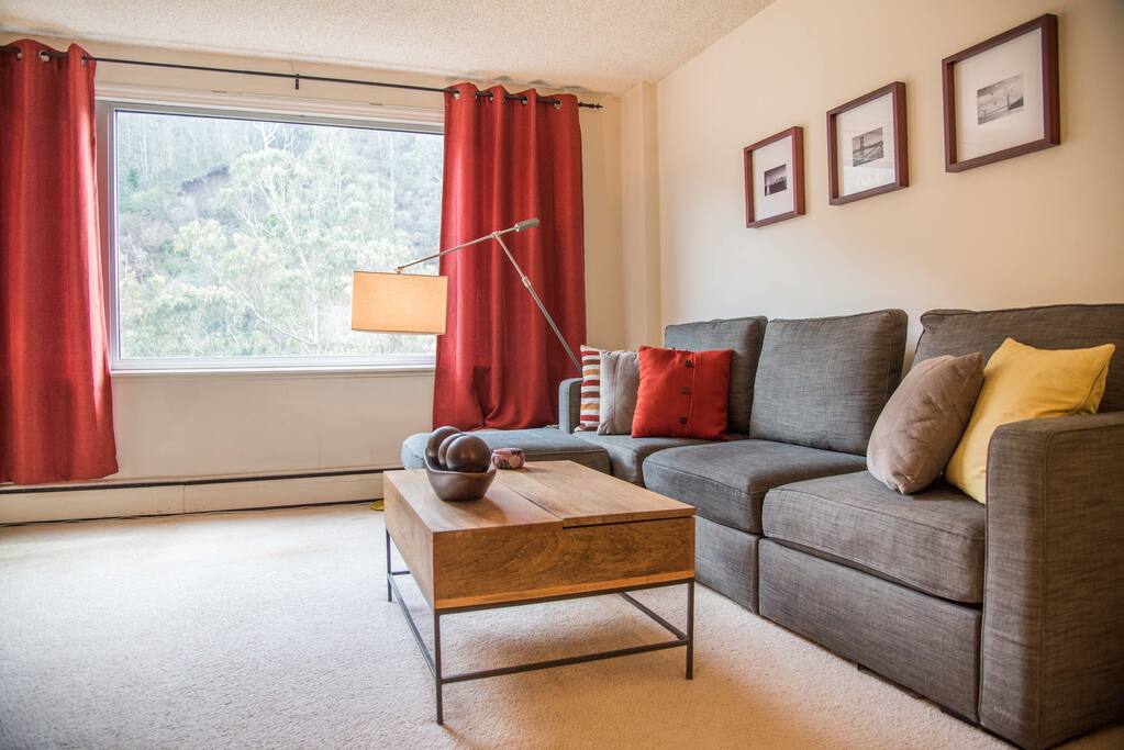 Modern living room with views of Mount Sutro Open Space Reserve