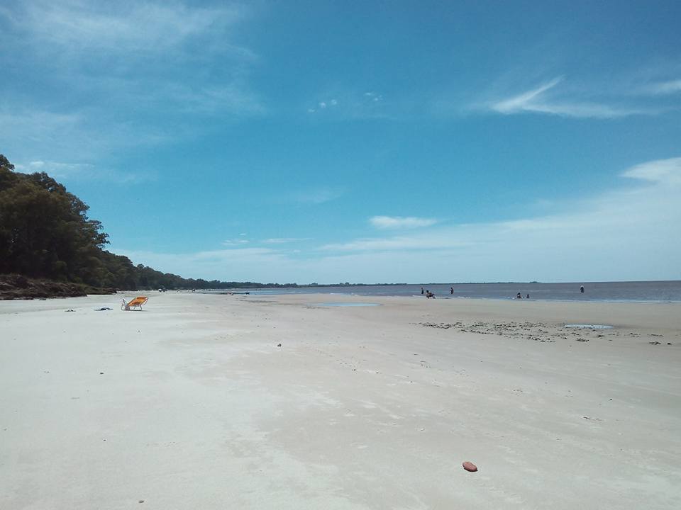 A wide, tranquil beach is presented, characterized by soft, white sand stretching toward the horizon. A clear blue sky complements the serene atmosphere, with a few figures in the distance enjoying the shoreline. Lush greenery borders the beach, enhancing the natural environment.