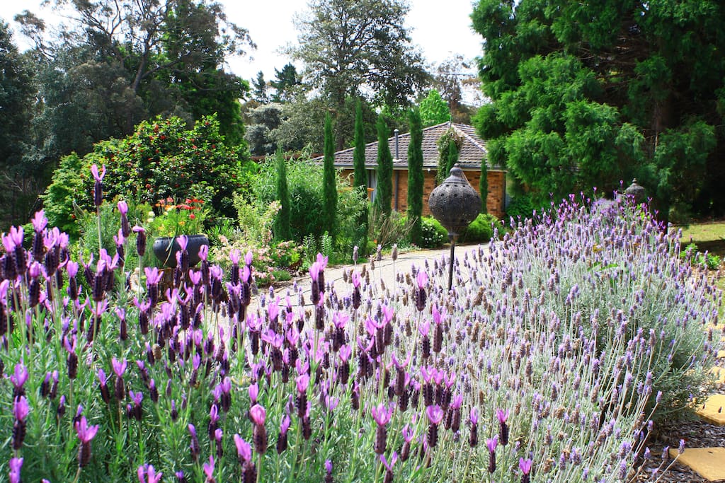 Fragrant cottage gardens