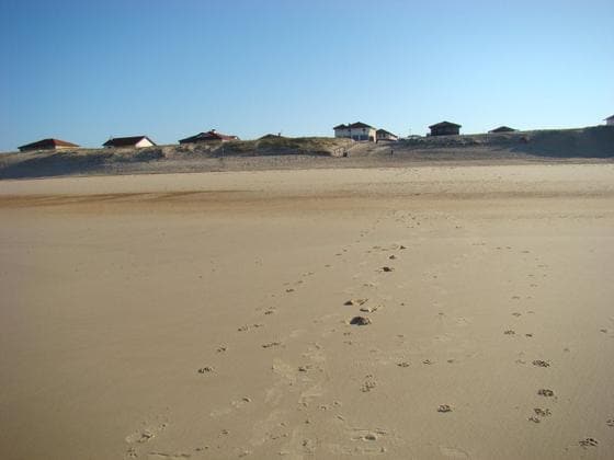 A sandy beach stretches across the foreground, leading toward clay-colored dunes that rise gently in the distance. Several beach houses are visible atop the dunes, each with a pitched roof. The sky is clear and blue, creating a serene coastal backdrop.