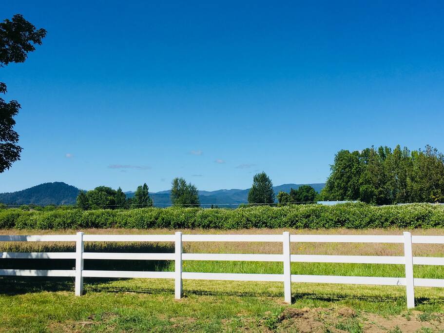 Mountain Views
