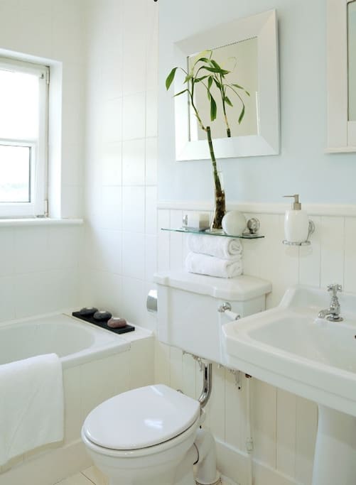 Main Bathroom