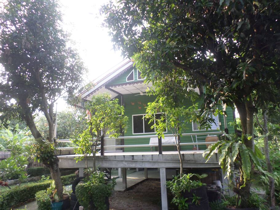 House number 1.This house has one king size bed and 2 single beds.There is room for another single fold-out bed.The large balcony is ideal for groups to gather.The house has an indoor bathroom with shower and toilet and also downstairs under the house their is a 2nd toilet and a 2nd separate shower room.
