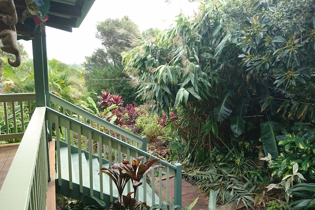 The deck overlooking the garden.