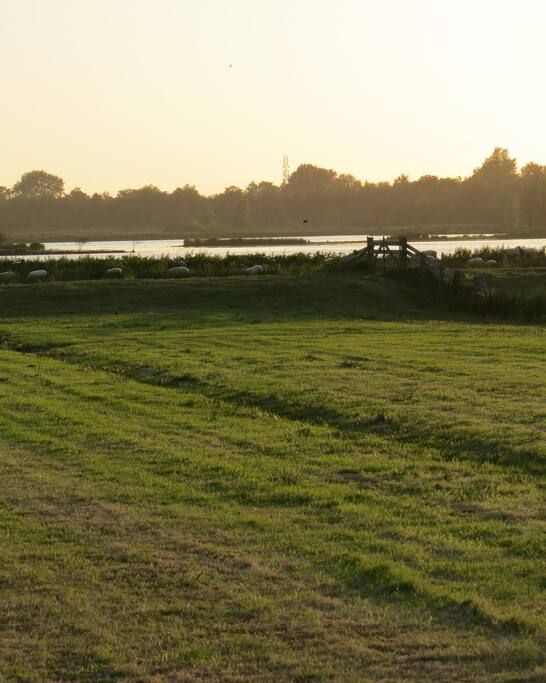 Het uitzicht vanuit de wagen op het vogelbroedgebied.