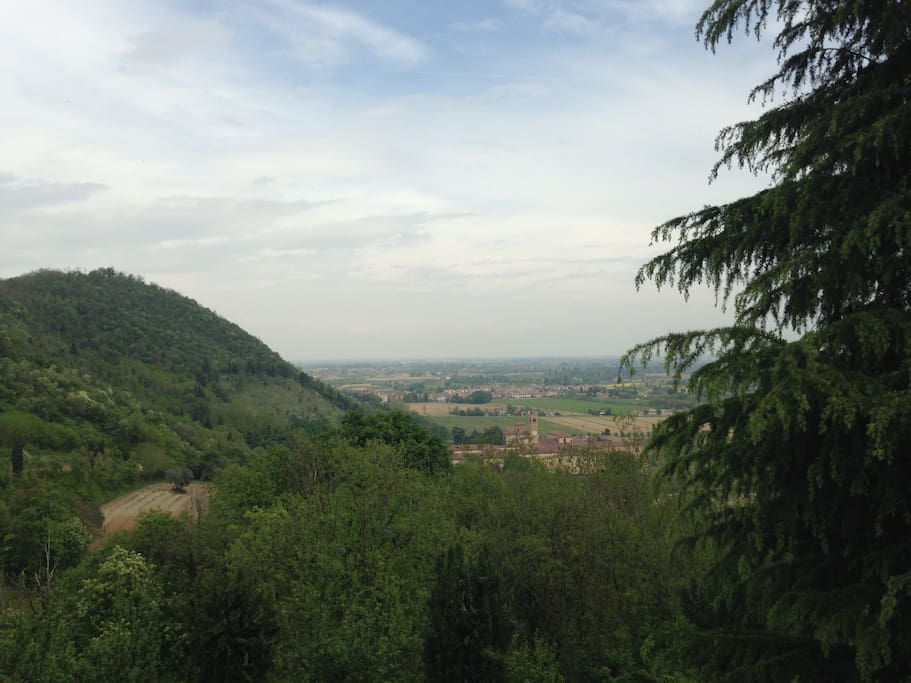 Panorama