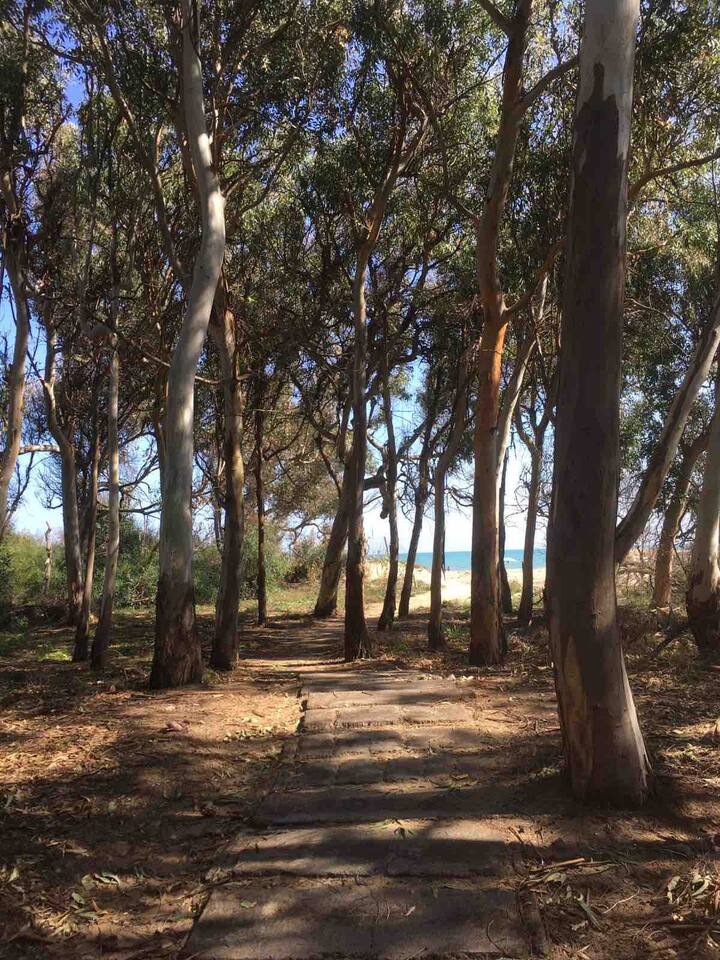 Beach House Vaccarizzo Apartments for Rent in Catania, Sicilia, Italy