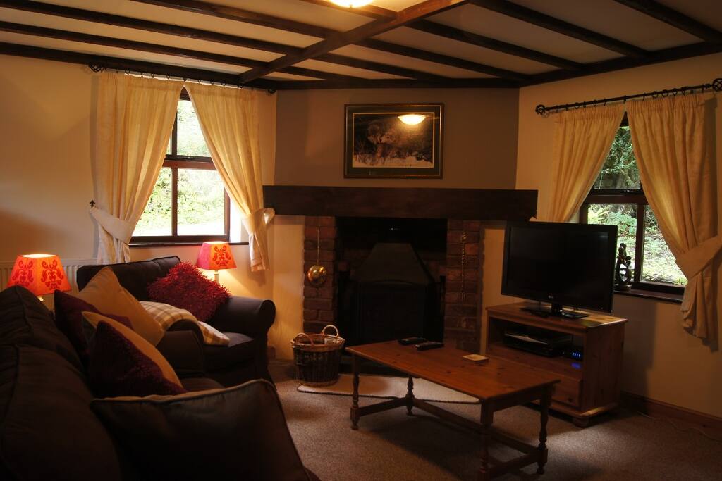 Wood burning stove in lounge