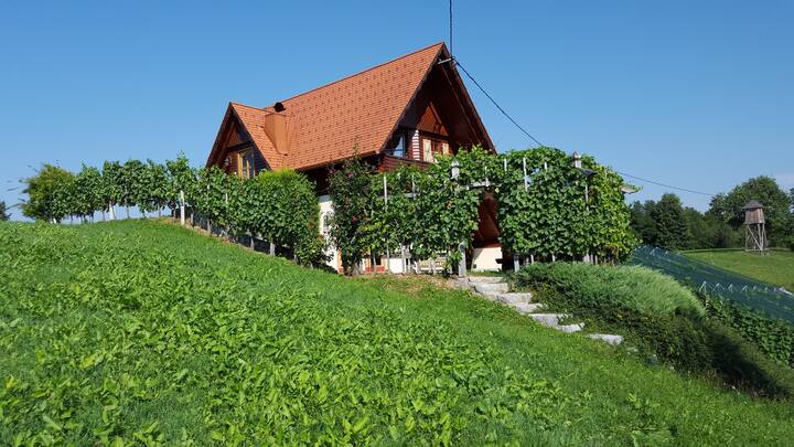 Dolenja Vas pri Mirni Peči Vacation Rentals & Homes - Novo Mesto, Slovenia  | Airbnb