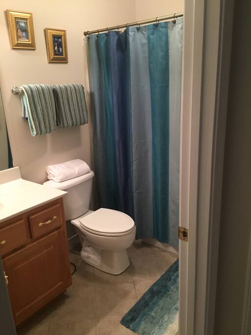 Guest Bathroom