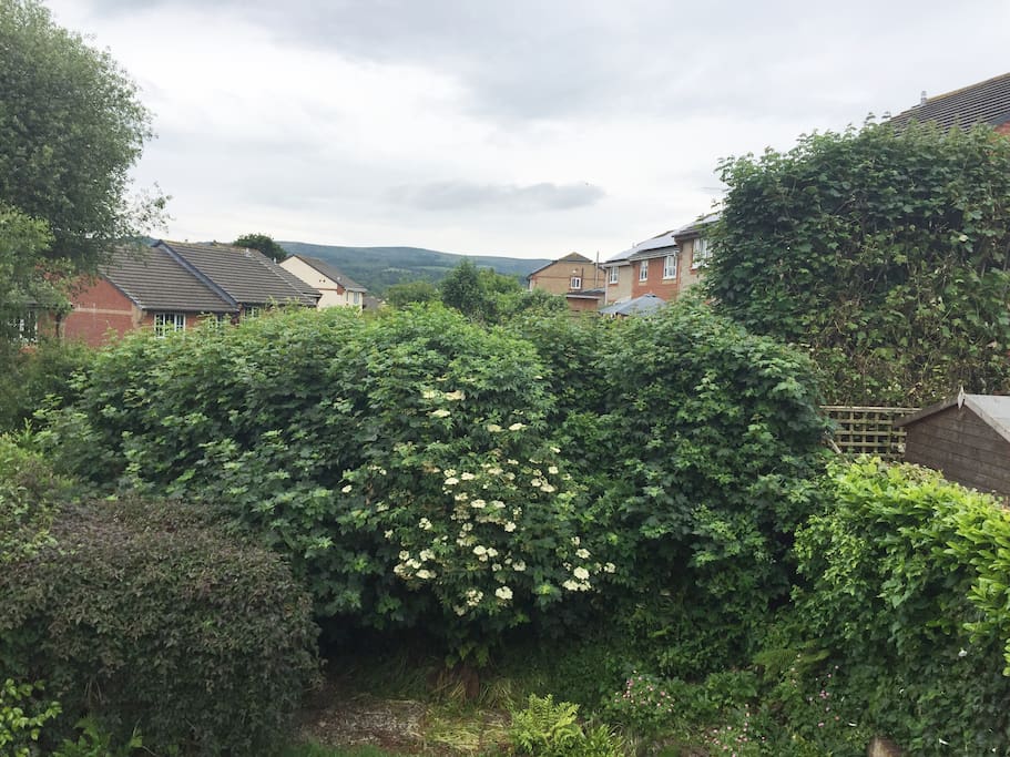 View from of Dartmoor from the Master Bedroom