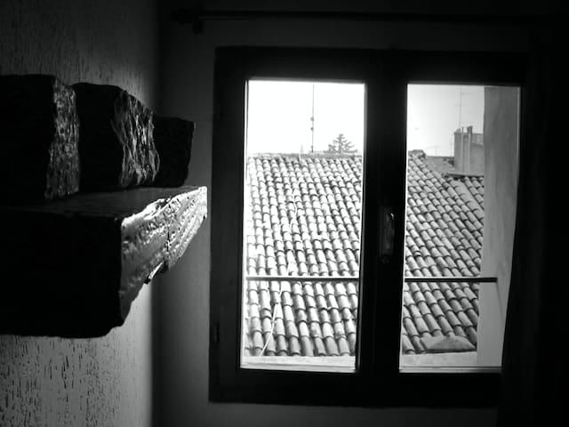 Un nido sui tetti di Ferrara