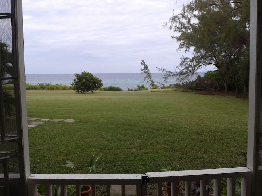 view from Patio