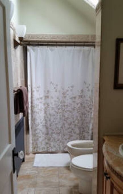 Marble tiled bath with tub, shower, bidet & skylight