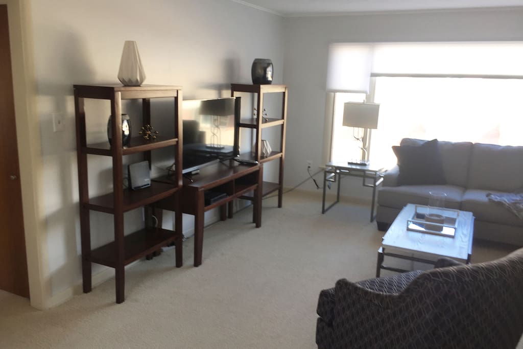 Bright and comfortable living area