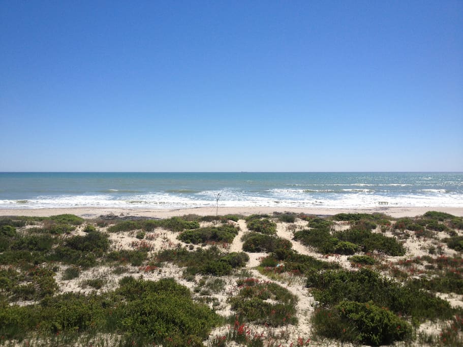 Beach directly in front of the house. Perfect for those long stretches and beach walks.