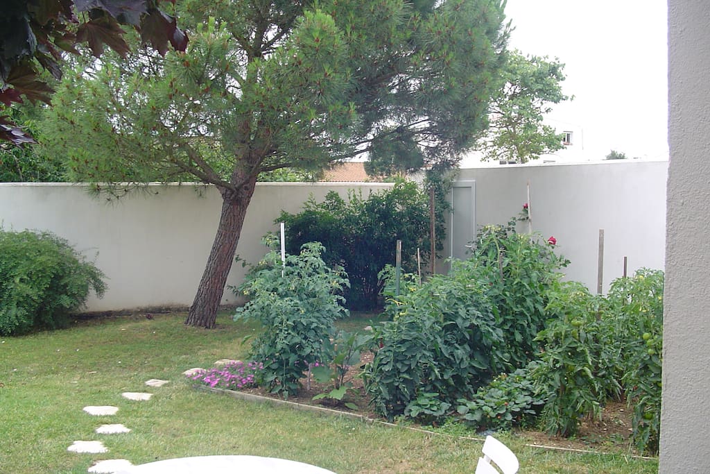 Jardin