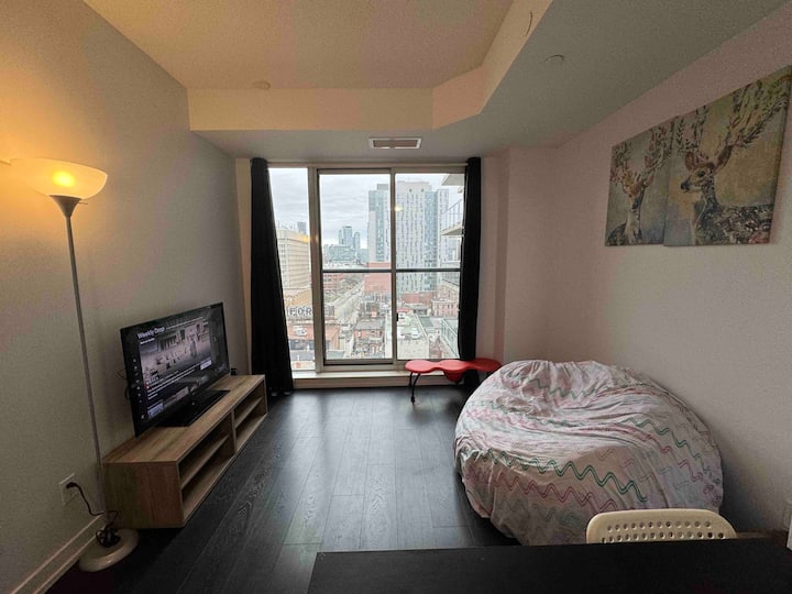 Downtown Toronto 1 Bdr Condo with Gym Access
