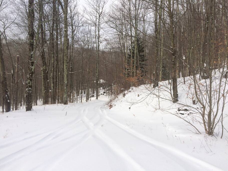 Long Driveway away from road, plowed when needed.