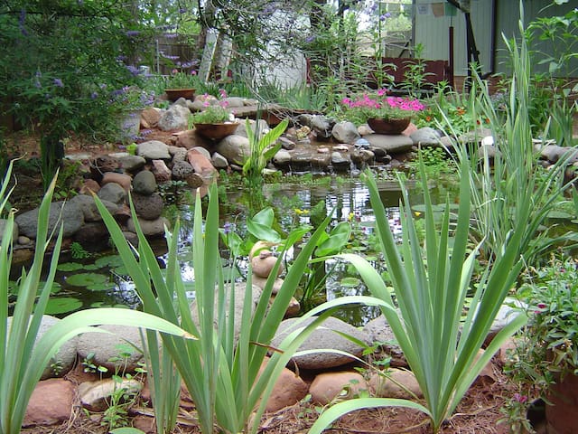 Zen Retreat