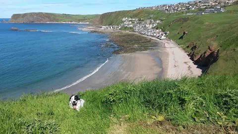 Fisherman's Cottage Gardenstown. Pet friendly.