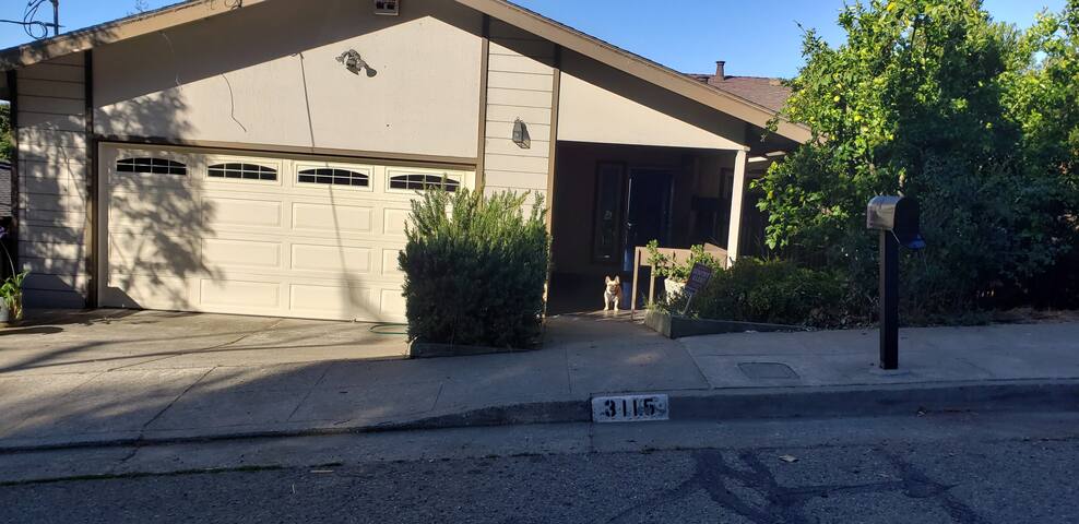 cheerful villa in the oakland hills bayarea view gallery image 2