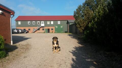 Farm Stobbe
Farmhouse Vacation
