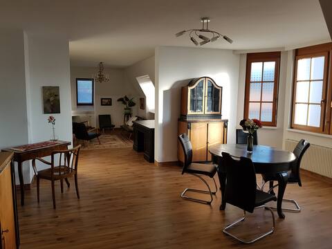 Elegant and sizable apartment in the city of Baden