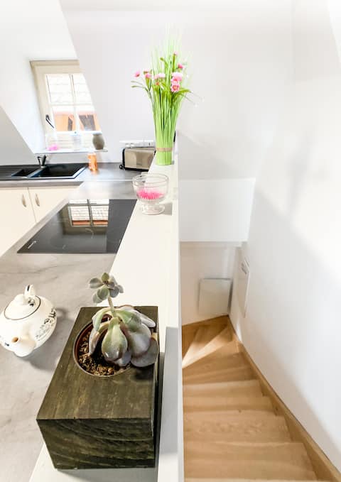 Apartment Dagsbourg - Guesthouse les 3 châteaux