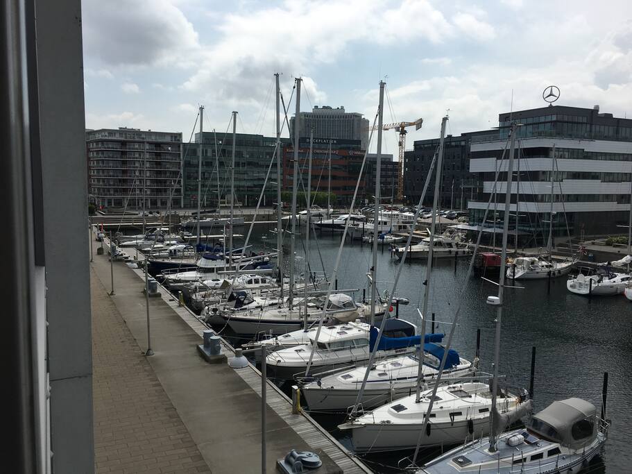 View from the balcony