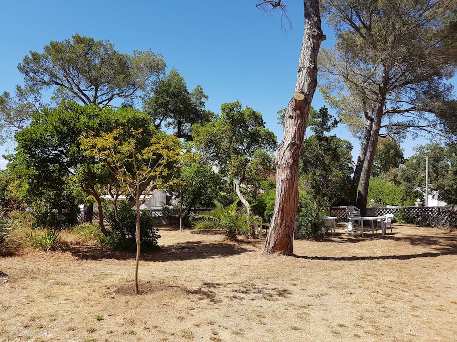 jardin collectif
