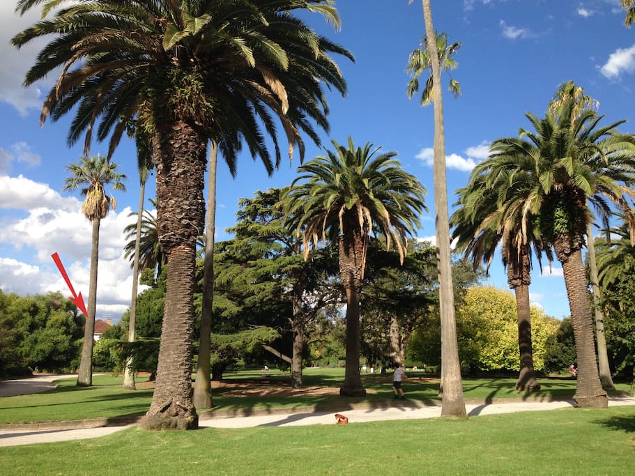 here you can see the flat through the botanic gardens