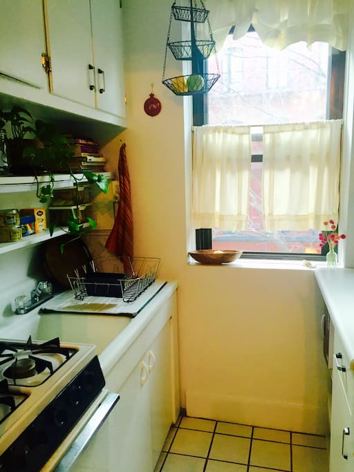 This sunny kitchen has everything you need for making morning coffee or tea and cooking meals including a gas stove, microwave, toaster and French press.