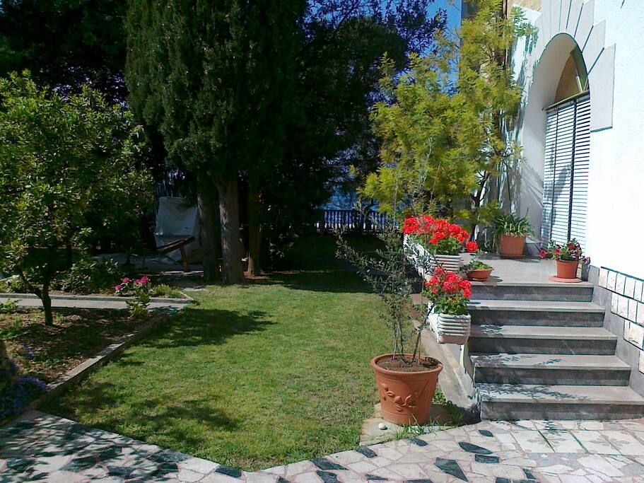 GARDEN
